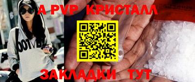 шишки Кингисепп