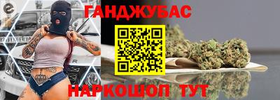шишки Кингисепп