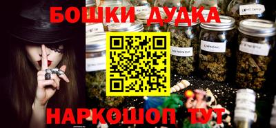 шишки Кингисепп
