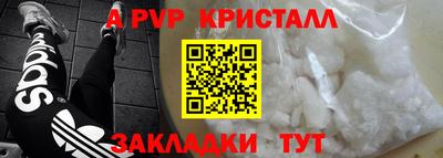 шишки Кингисепп