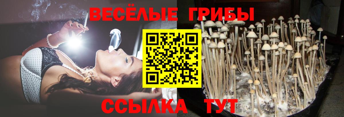 Галлюциногенные грибы мухоморы  Вход с VPN  Кстово  Псилоцибиновые грибы прущие грибы 
