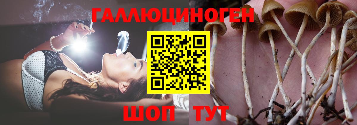 Псилоцибиновые грибы прущие грибы Кстово